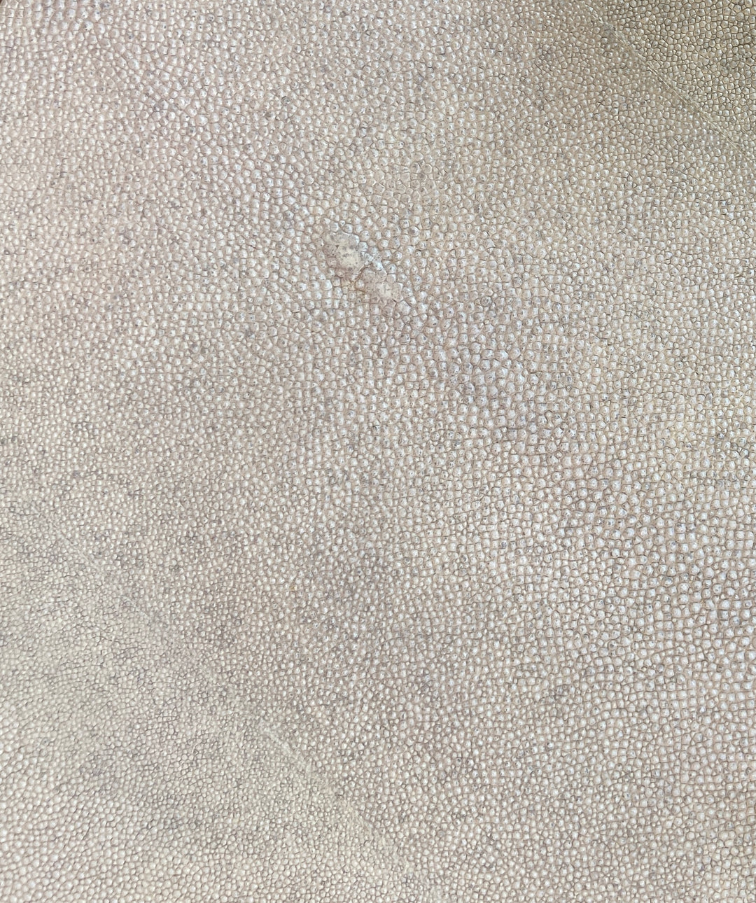 Cosmos Cream Shagreen Coffee Table