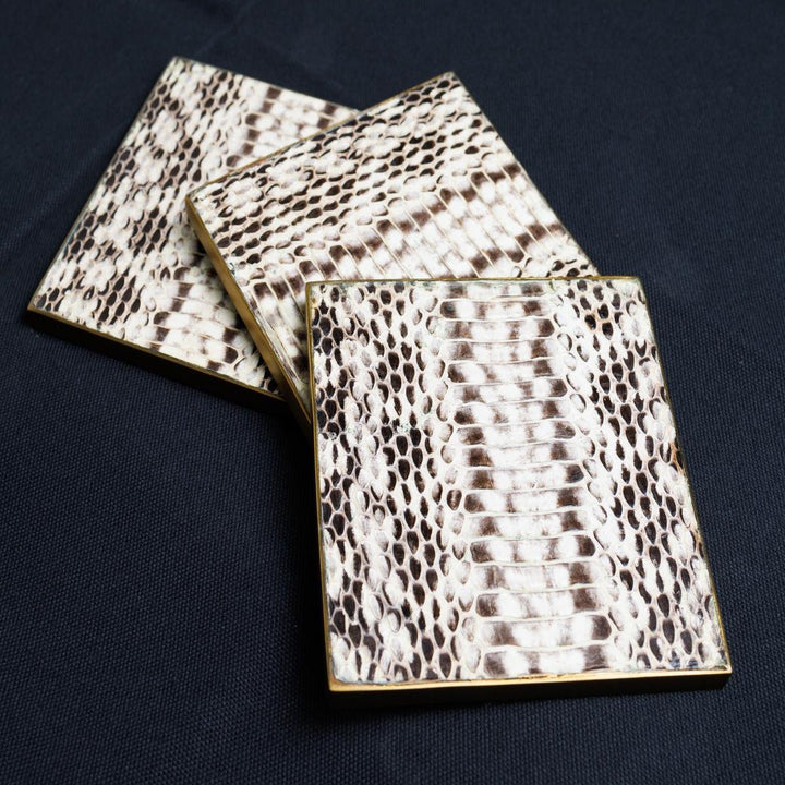 Queen Coaster In Natural Snakeskin