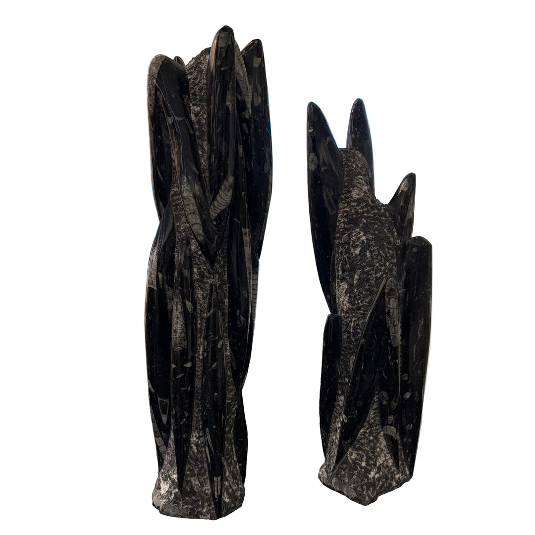 Fossilized Squid Sculpture