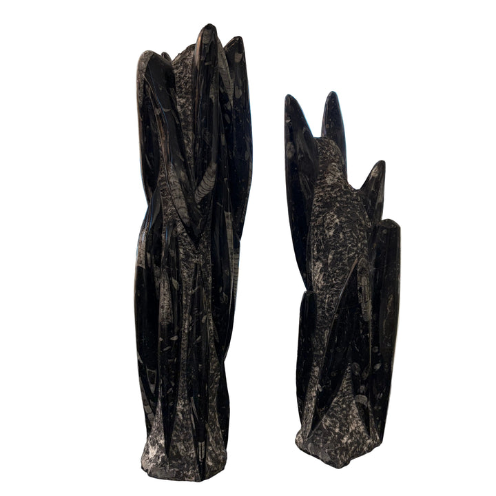 Fossilized Squid Sculpture