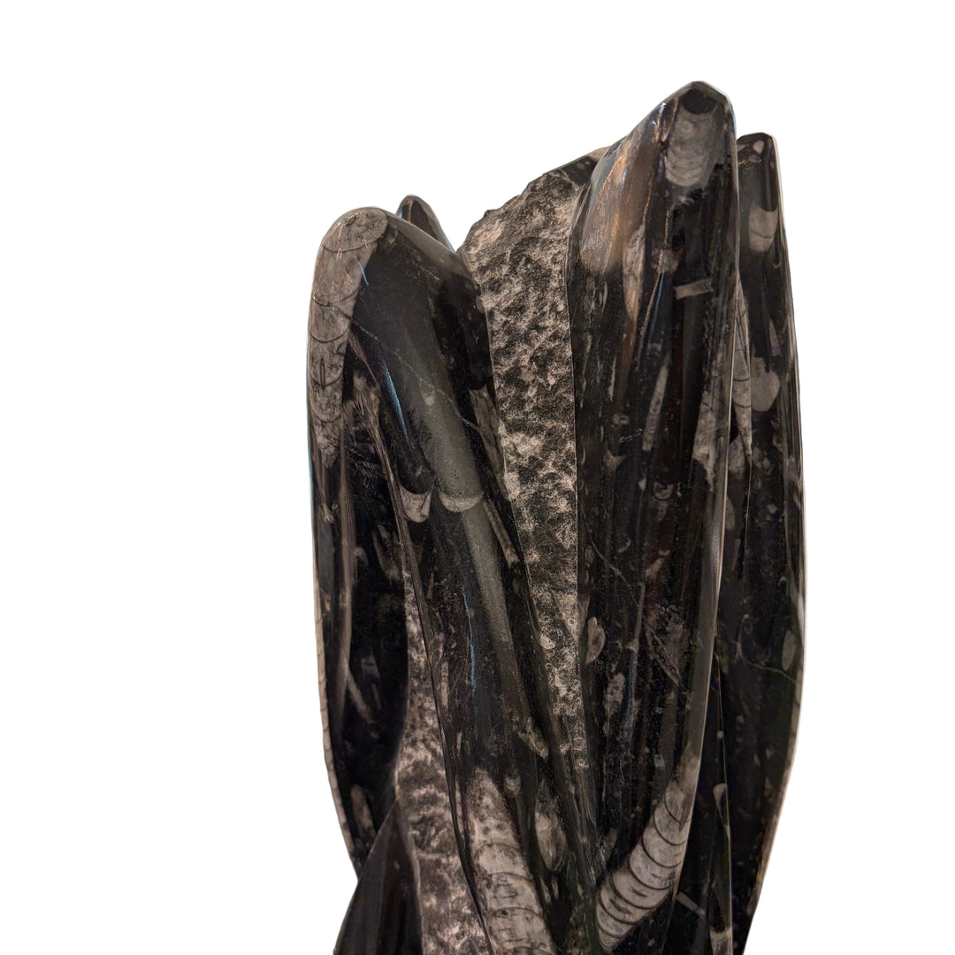 Fossilized Squid Sculpture