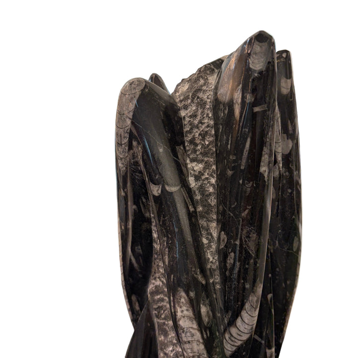 Fossilized Squid Sculpture