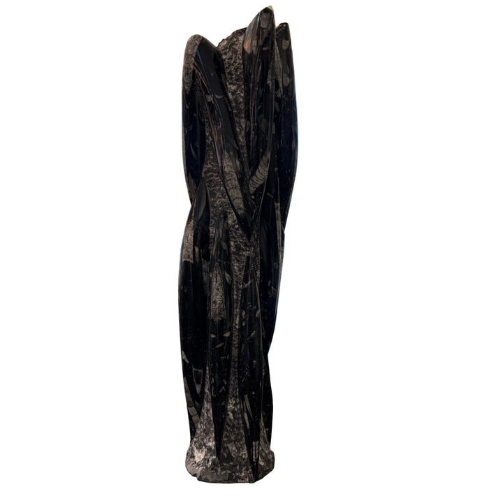 Fossilized Squid Sculpture