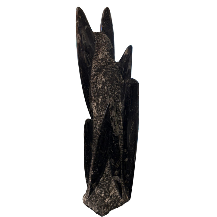 Fossilized Squid Sculpture
