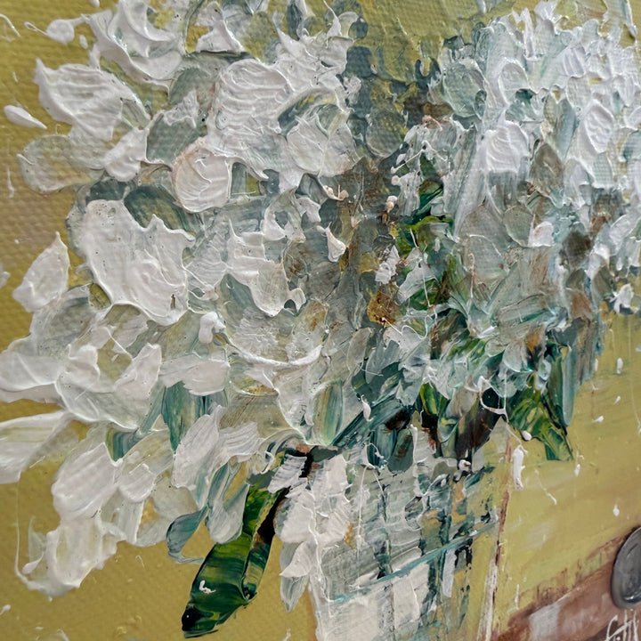 Hydrangea Yellow