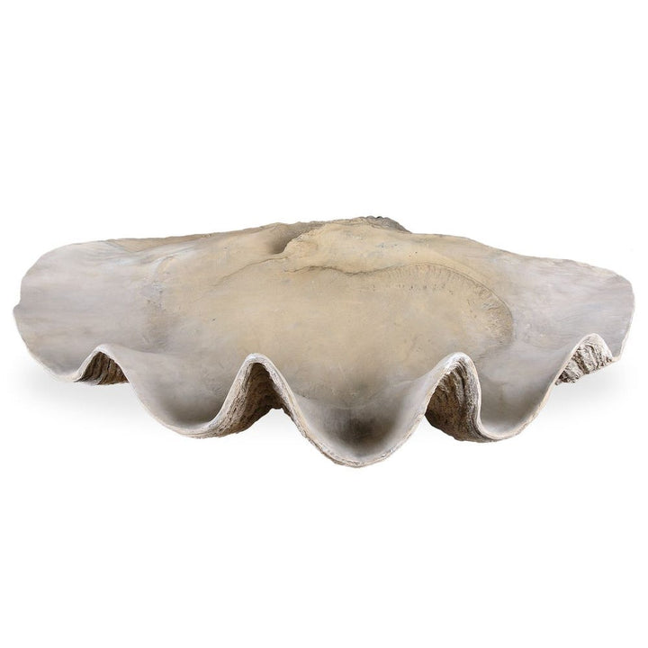 Clam Shell Bowl