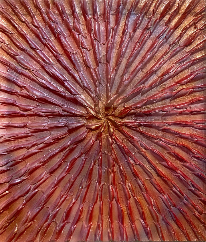 Morning Glory