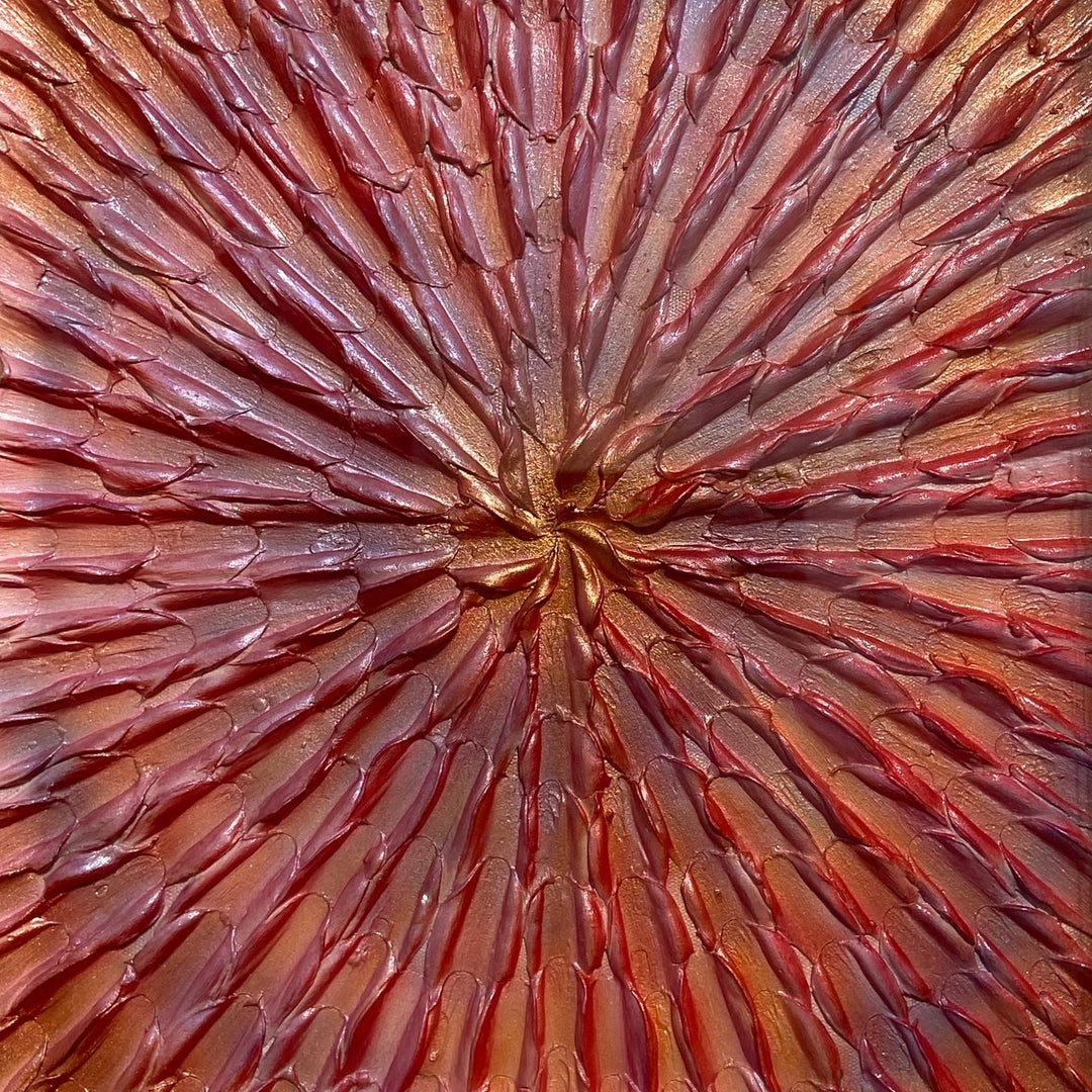 Morning Glory