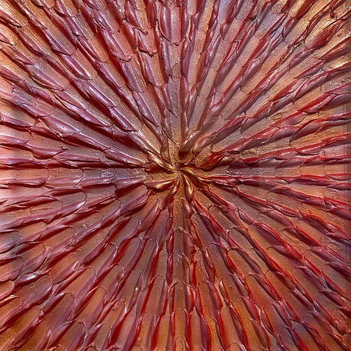 Morning Glory