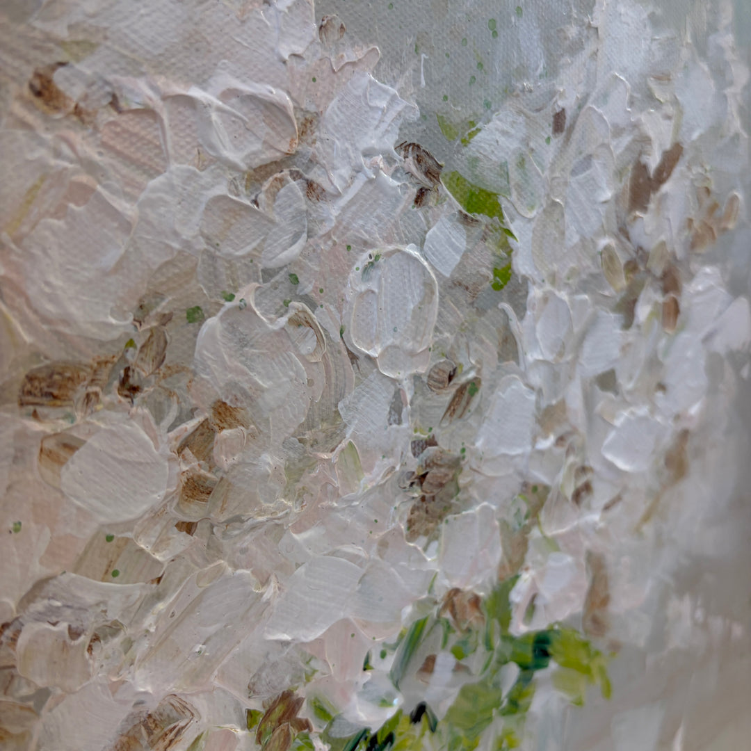 White Hydrangea